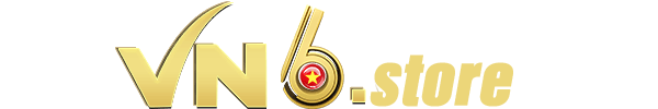 vn6.store